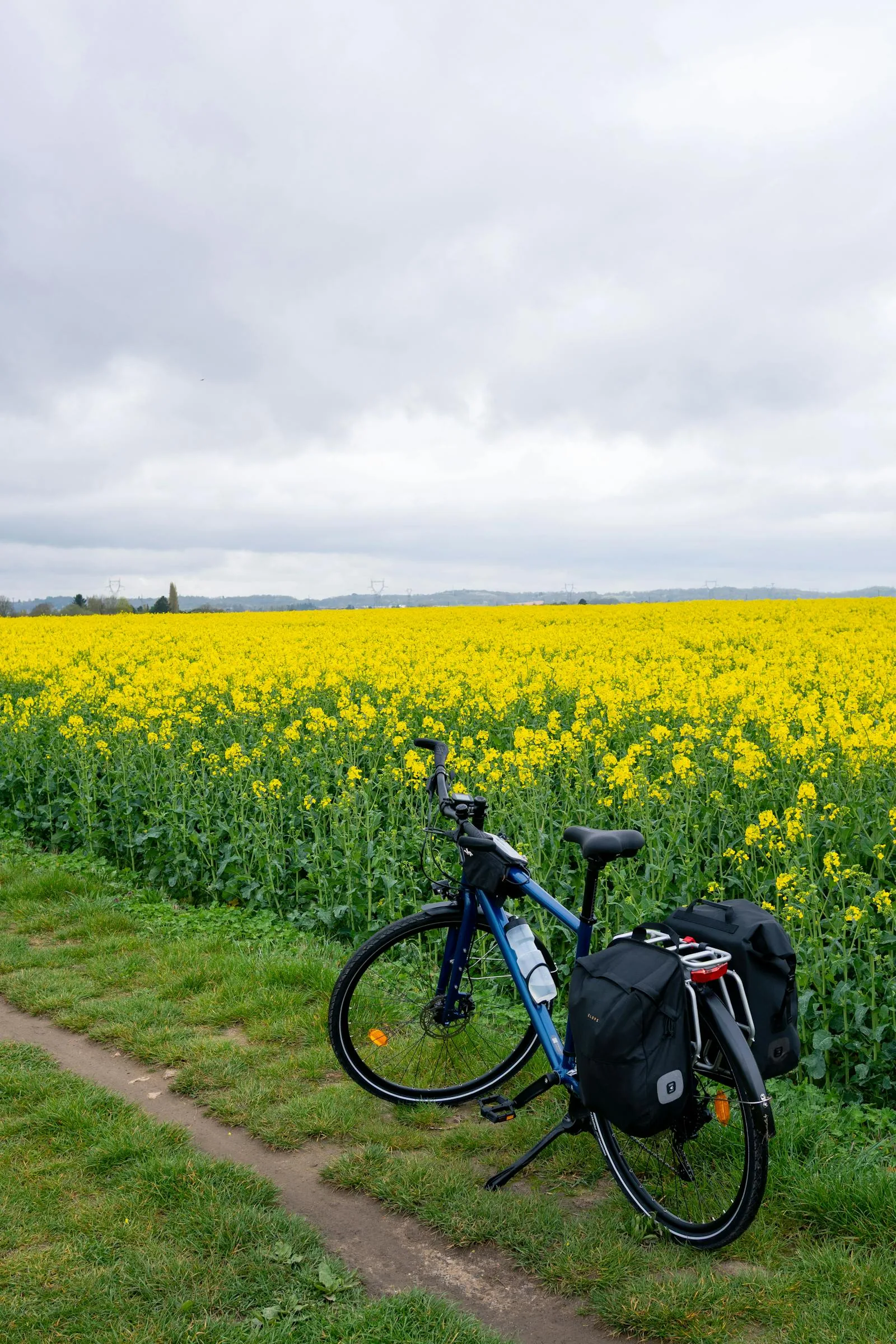 Cycling Tours